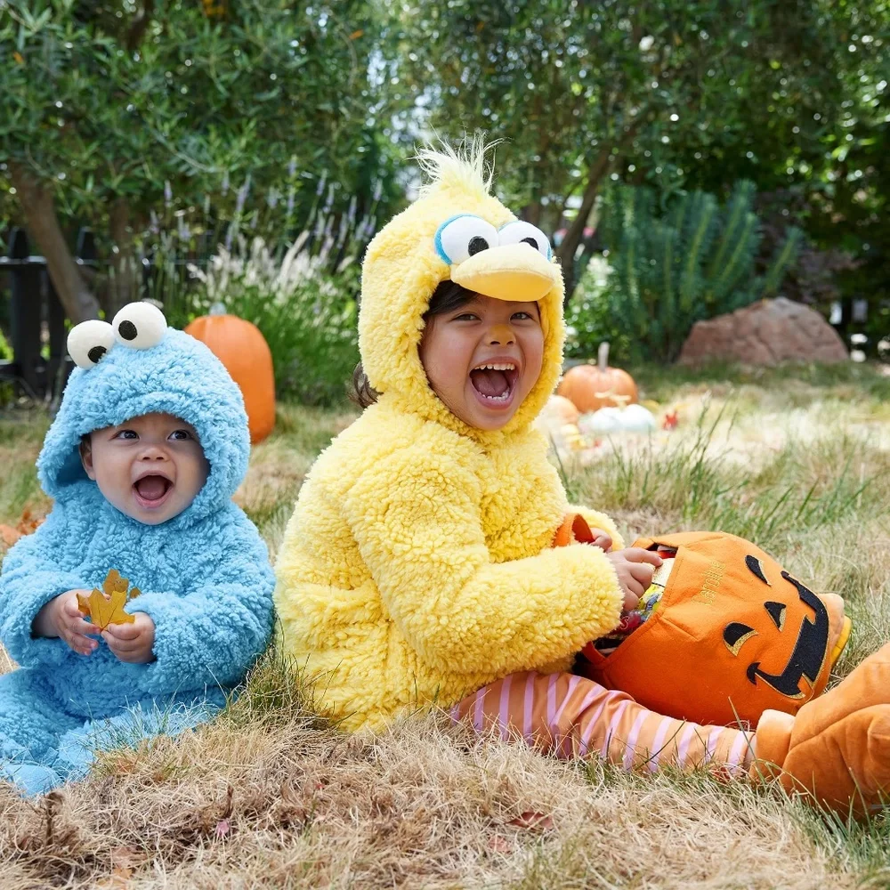 Sesame Street® Big Bird Costume 2t/3t (marked)- PBK